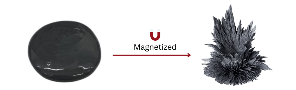 Comparison of magnetized and unmagnetized magnetorheological fluid (MRF), illustrating structural changes under a magnetic field